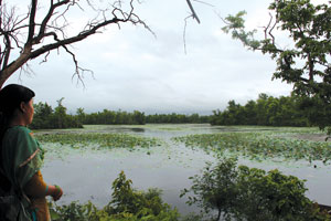 Taking nature back to people