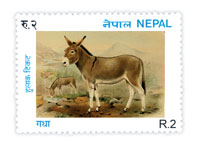 Animal republic