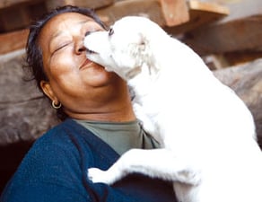 The dog mother