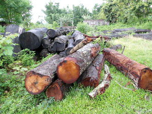Crisis in Chure