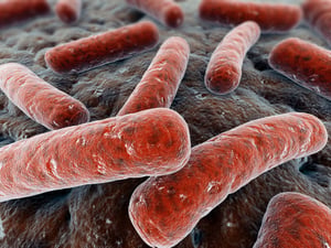 The return of the microbes