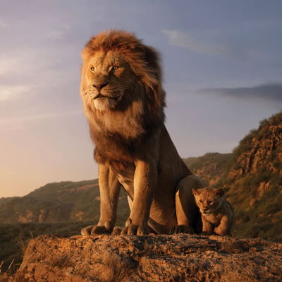 Animal Planet meets Disney World