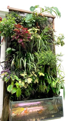 Garden walls
