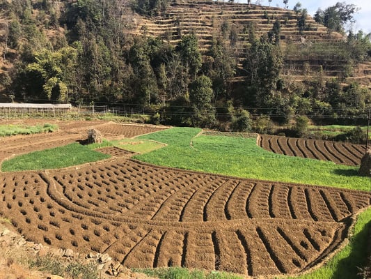 Back to the future of farming