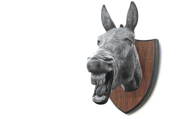 Turning Nepal into Singapore