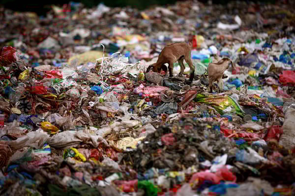 Nepal’s glaring food gap