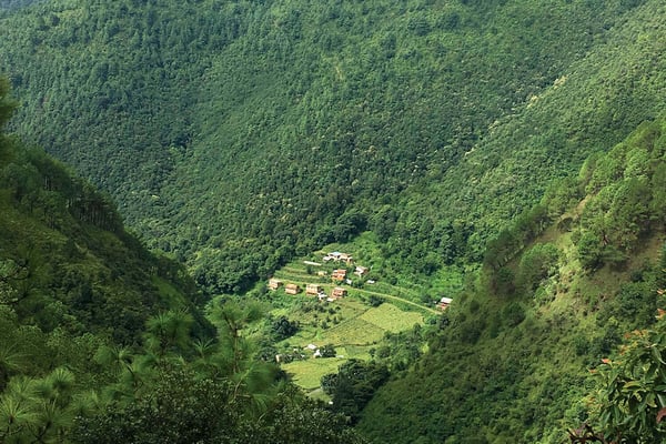 Will Nepal ever be paid for saving trees?