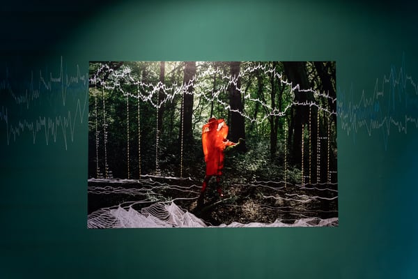 Anthropocene in Art
