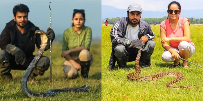 Snakes on plains