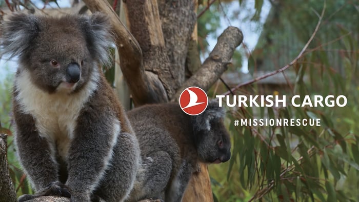 Türkiye-Japan
