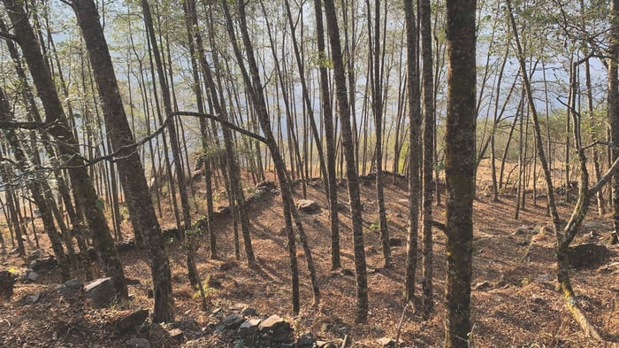 Nepalis are voting with their feet