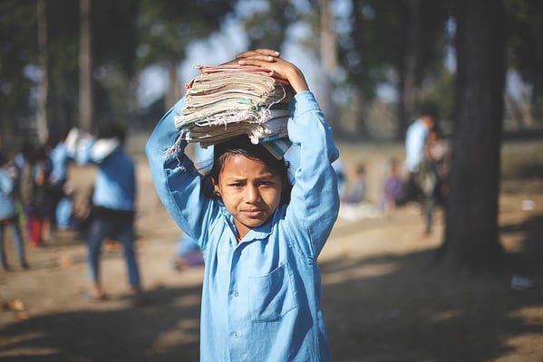 Lessons not learnt, homework not done