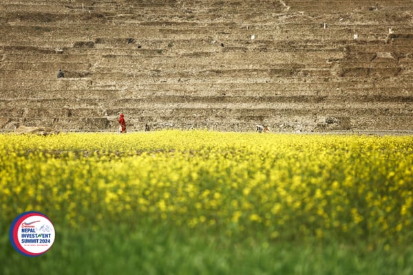 Nepal looks at alternative investments