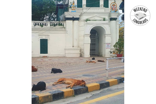 Reaffirming affirmative action