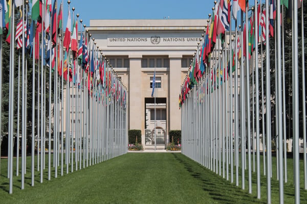 The UN’s withering vine