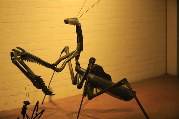 Turning trash into sculptures