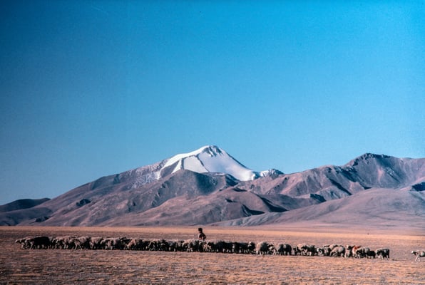 Rangelands of the Himalayan Range