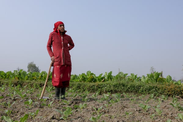 “My children shouldn't be farmers”