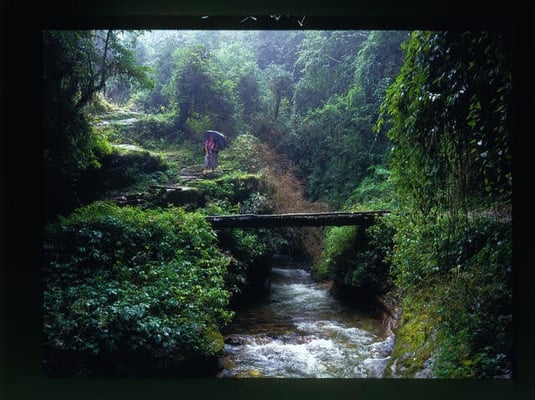Monsoon memories