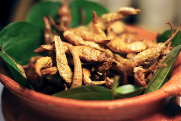 Spicy foods from the coast