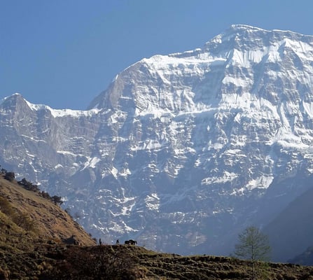 Trails less travelled