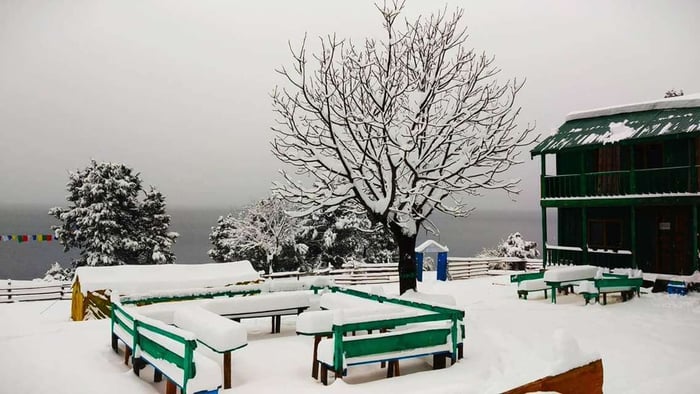 Snowbound Rara