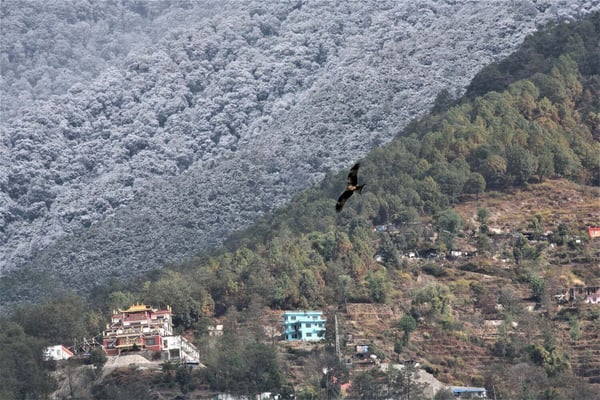 Frozen Shivapuri