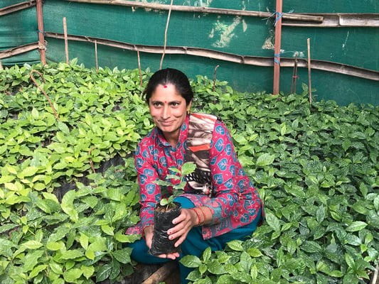 Four years later, Nepal's farmers rise from the rubble