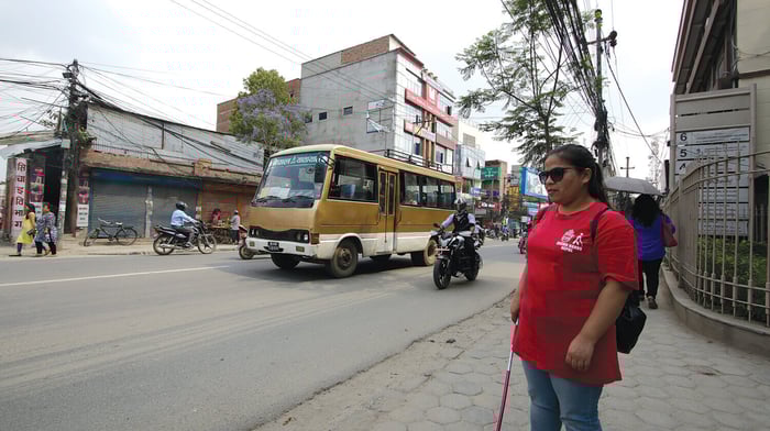 Three toots for Tootle