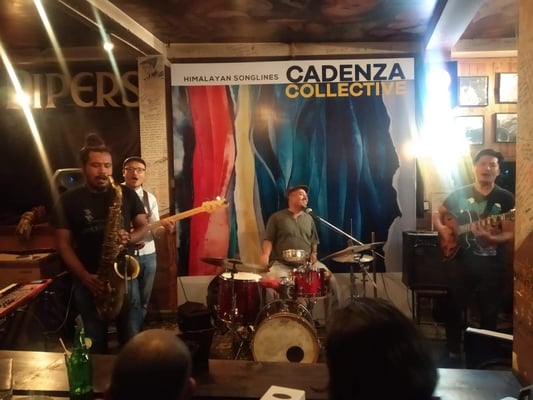 Cadenza's new collection