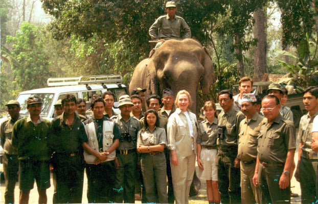 The trips before TripAdvisor