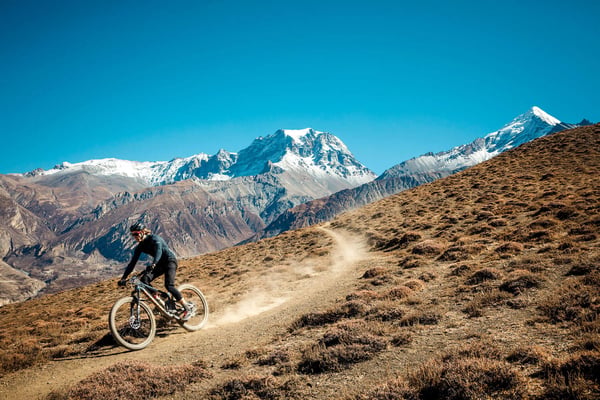 Yak Attack: Single Track Edition