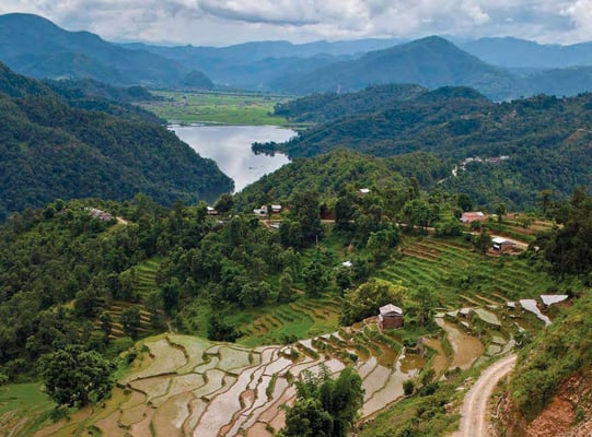 Economic benefits of saving the ecology