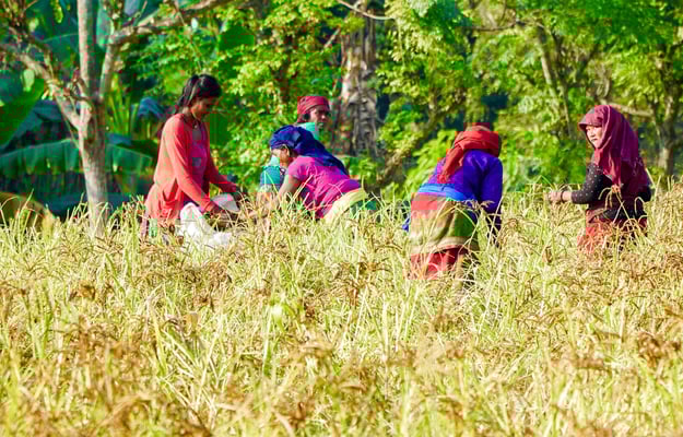 Help for resilient farming