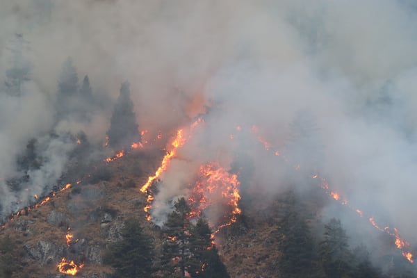 Wildfires ravage Nepal mountains