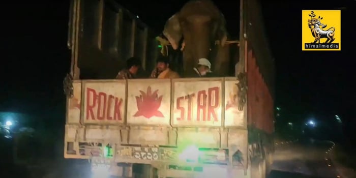 Police track India-Nepal elephant trafficking