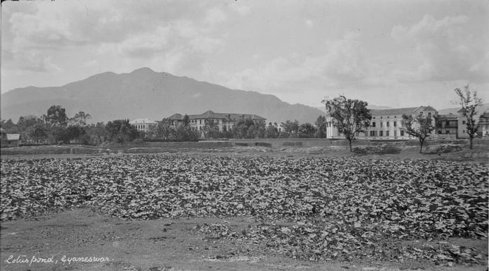 Our Kamal Pokhari