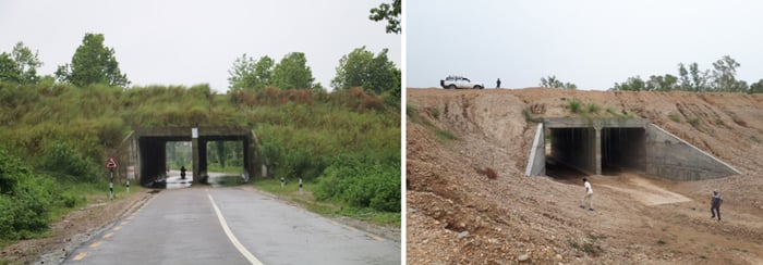 Infrastructure for wildlife in Nepal