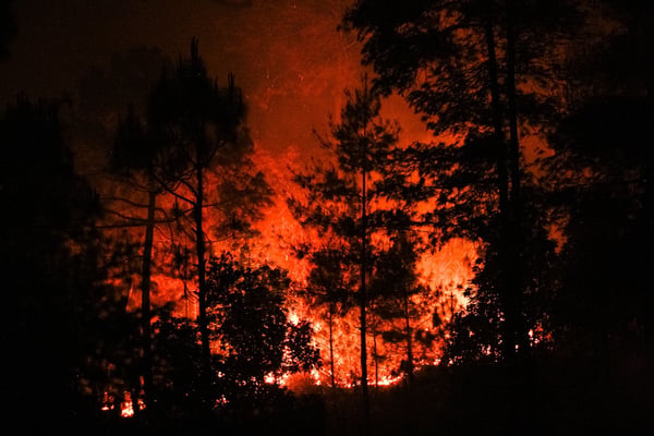 Protecting Nepal's forests from fires