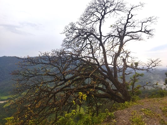 Chepang and their Chiuri