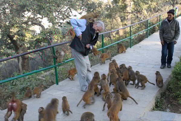 Remembering Hubert Decleer