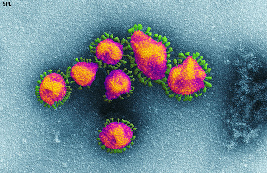 The truth about the chloroquine scam