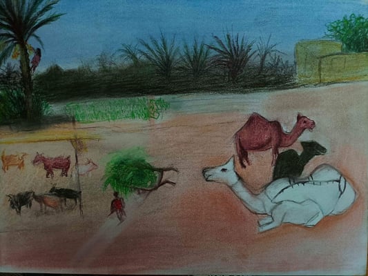 Turning the desert green