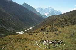 Save Sagarmatha
