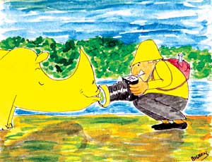Big Ben - Issue #191: Bright colours are not recommended in the jungle