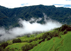 Monsoon sanctuary