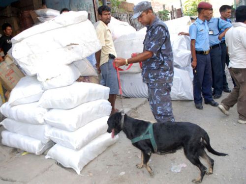 INVESTIGATION: Ahead of Tihar, the Biratnagar police checks for fire crackers at a warehouse on Wednesday. Two days earlier, the police had recovered fire crackers worth Rs 200,000 from various warehouses in Biratnagar.