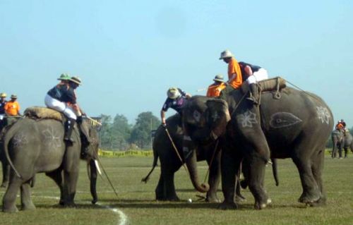 WE GOT GAME: This year's International Elephant Polo Championship was won by Switzerland's EFG team, who defeated the Sepoy team of UAE with a score of 6-5 on Friday. The Championship was held at Meghauli of west Chitwan.