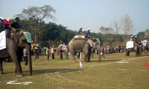ON YOUR MARKS: Participants of the 7th International Elephant Race, being held at Sauraha, Chitwan, prepare to run. Twenty teams from eight countries are particiapating in the race.