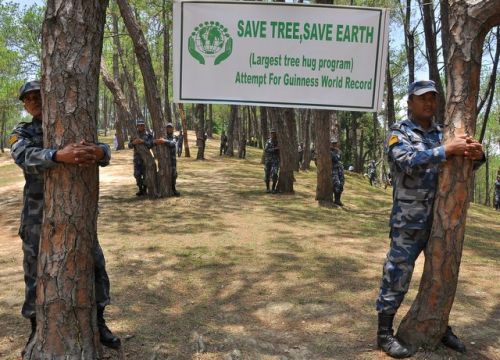 TREE HUGGERS: The Armed Police Force attempts to set a world record by hugging 1000 trees in Gokarna to mark the World Environment Day on Sunday.
